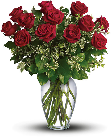 Always on My Mind - 1 Dozen Red Roses