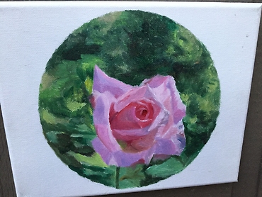 Lovely rose6