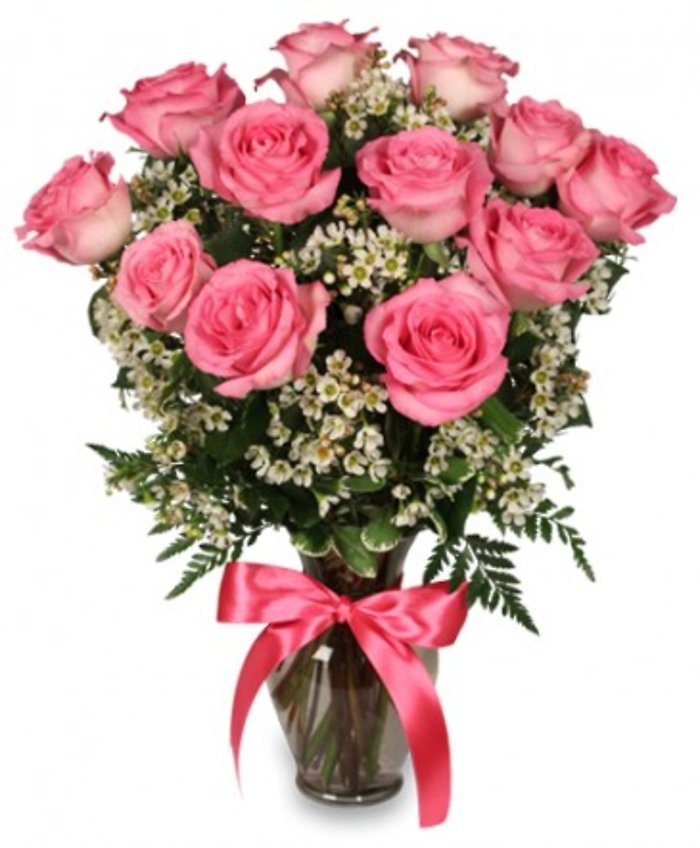 One dozen roses