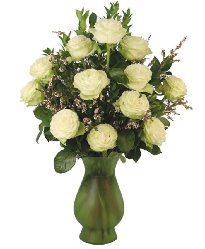 One dozen long stem white roses