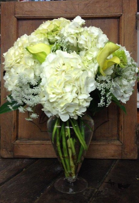 Genteel Hydrangeas