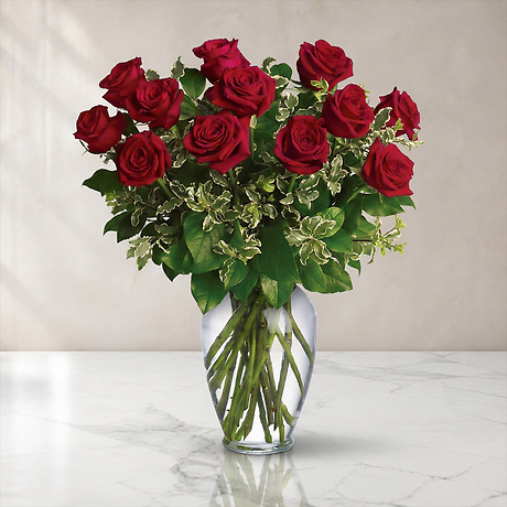Always on My Mind - 1 Dozen Red Roses