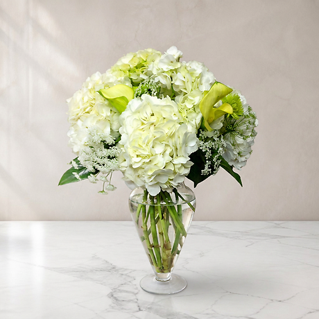 Genteel Hydrangeas