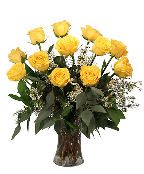 One dozen yellow roses