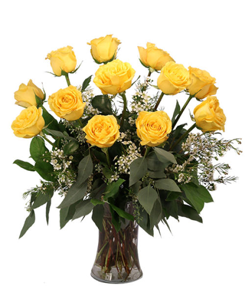 One dozen yellow roses