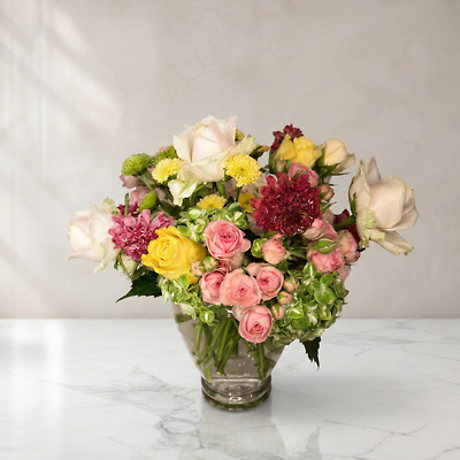 Fashionista Blooms
