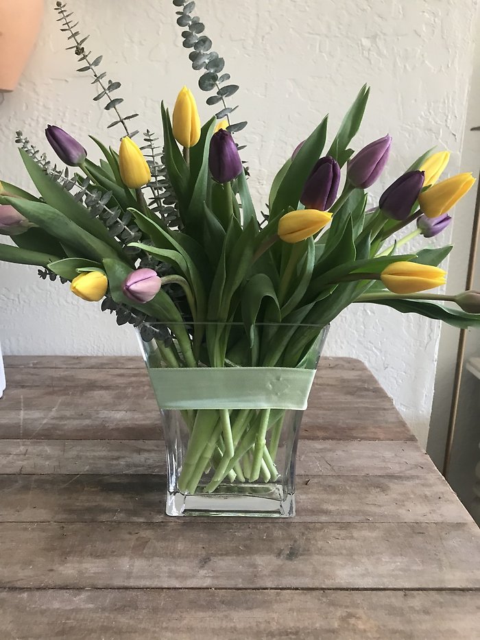 TULIP TREASURE