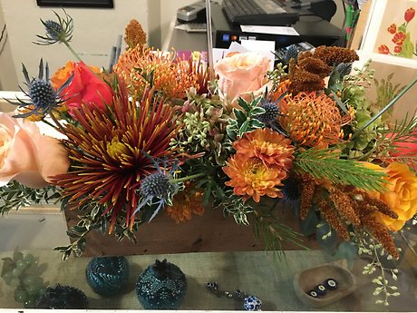 Nature in Bloom