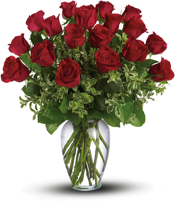 Always on My Mind - 1 Dozen Red Roses