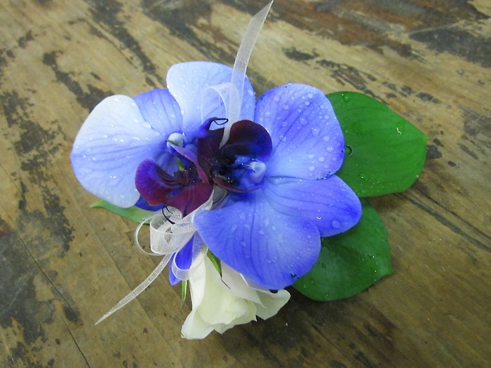 Dreamy Purple Orchid