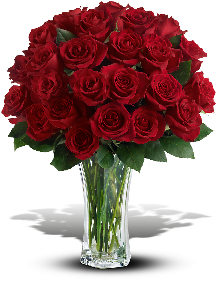 Love and Devotion -Two dozen Long Stemmed Red Roses