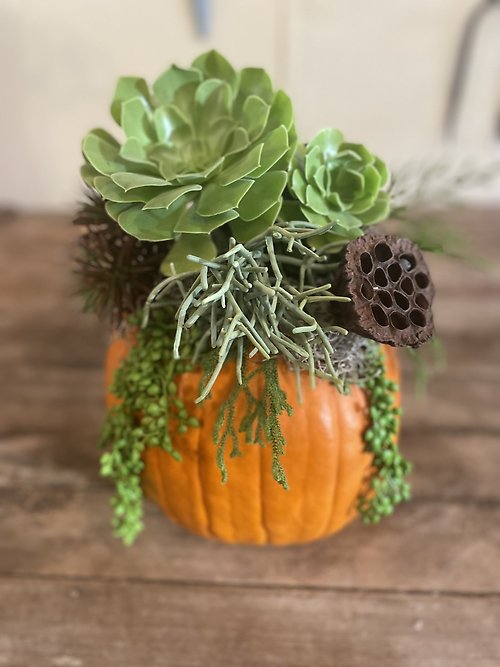 Pumpkin Succulent Bouquet