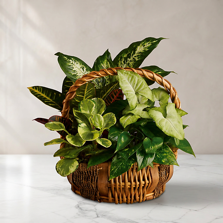 Emerald Garden Basket