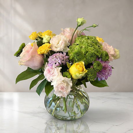 Fashionista Blooms