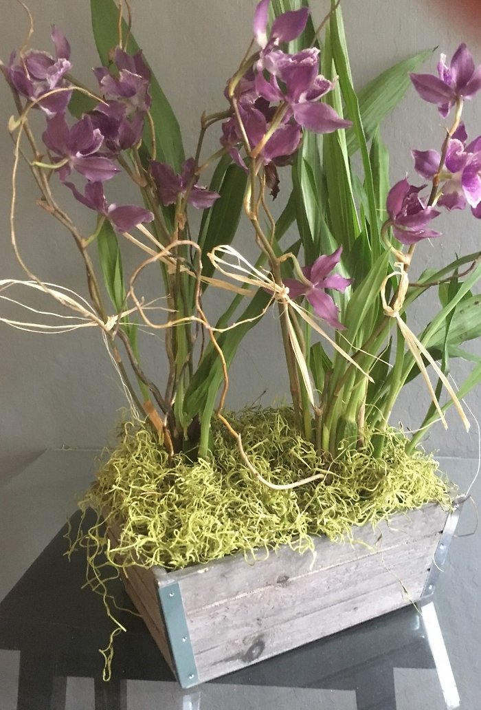 Double Orchid Planter