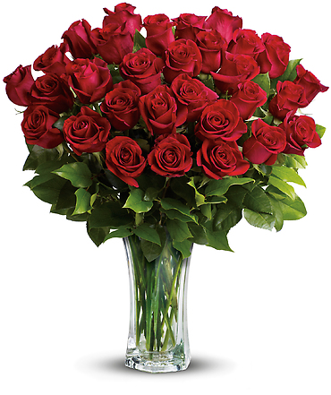 Love and Devotion -Two dozen Long Stemmed Red Roses