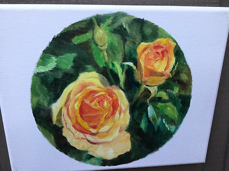 Lovely rose5